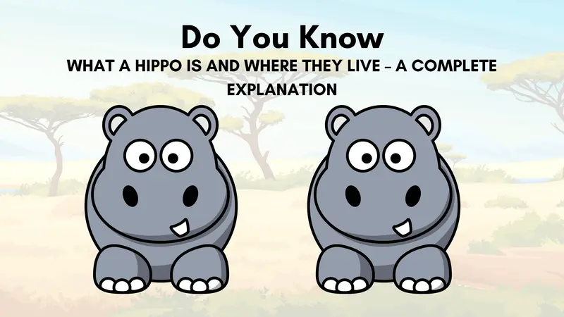 wordhippo 5