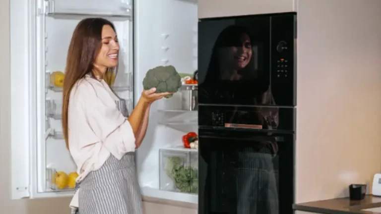 Best Refrigerator for Your Kitchen