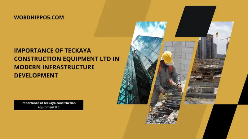importance of teckaya construction equipment ltd